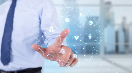 国内外软件外包公司概览 服务类型与代表企业