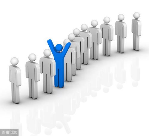 适合人力资源外包、劳务派遣与劳务外包公司的专业人力资源管理系统及软件外包服务解析