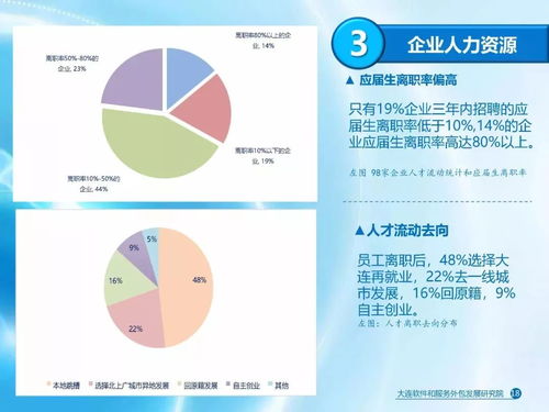 大连软件和信息技术服务业发展报告 聚焦软件外包服务的崛起与展望